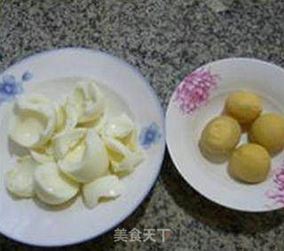 Chrysanthemum Mixed Protein recipe