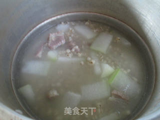 Barley Soup with Winter Melon and Pork Ribs recipe