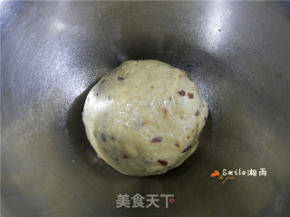 Cranberry Waffles (fermented Version) recipe