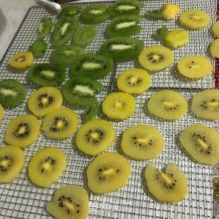 Homemade Fruit Tea recipe