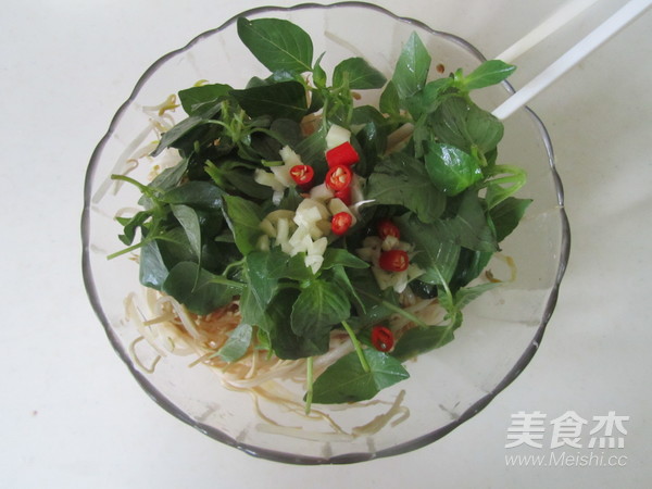 Nepeta Bean Sprouts Mixed with Dried Shreds recipe