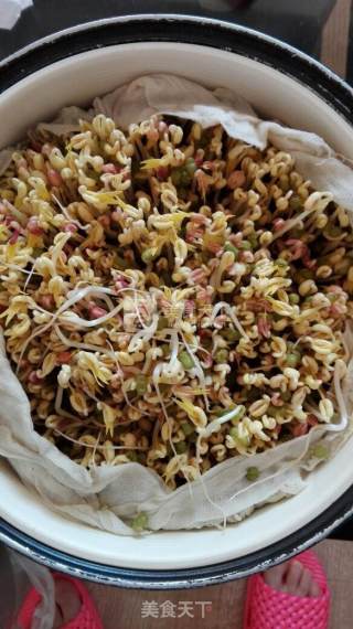 Spontaneous Mung Bean Sprouts recipe