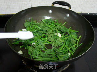 Stir-fried Pumpkin Seedlings recipe