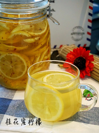 Sweet-scented Osmanthus Honey Lemon