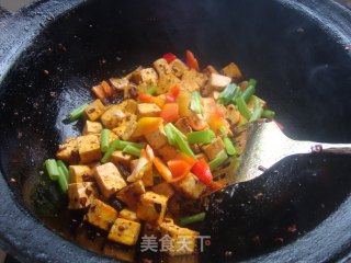 Laoganma Tempeh Grilled Tofu recipe