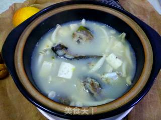 Braised Tofu with Carassius and Bailing Mushroom recipe