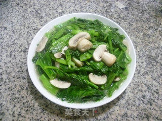 Mushroom Stir-fried Rape recipe