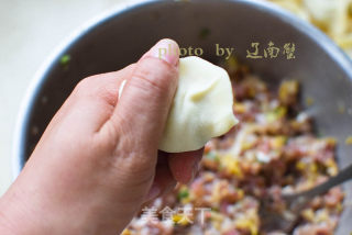 Sauerkraut Beef Dumplings recipe