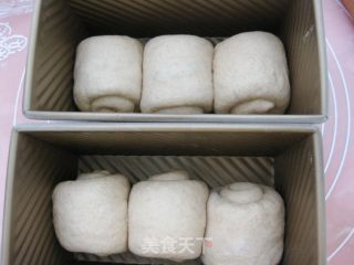 Whole Wheat Toast recipe