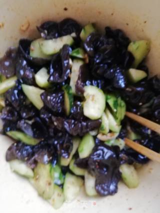 Cold Cucumber Fungus recipe