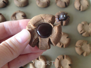 Spider Cocoa Biscuits recipe