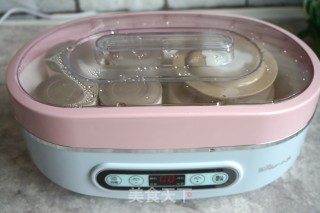 #trust of Beauty#homemade Yogurt recipe
