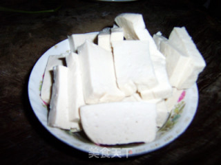 Warm Away The Cold---spicy Scallion Braised Tofu recipe