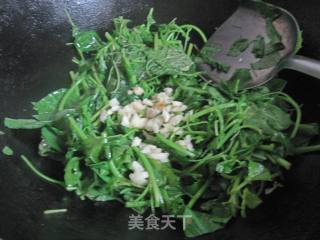 Garlic Amaranth recipe