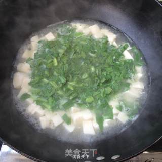 Cabbage Tofu Soup recipe