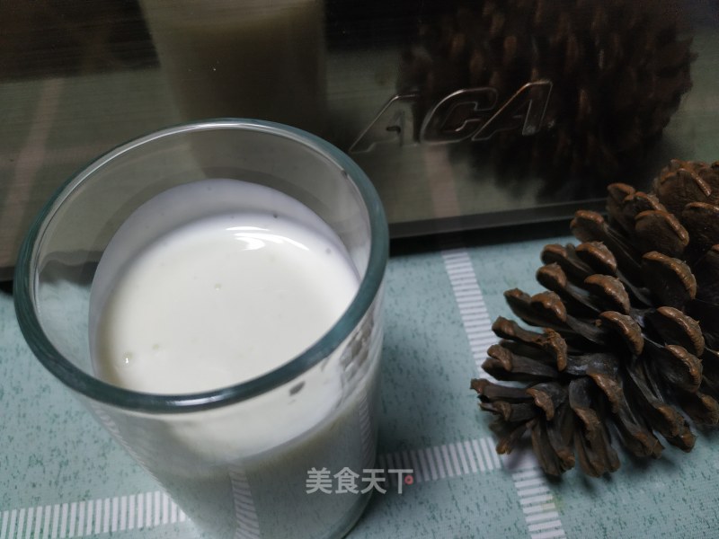 Homemade Yogurt in Bread Maker recipe