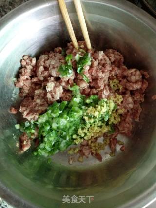 Carrot Beef Dumplings with Fungus recipe