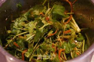 Coriander recipe