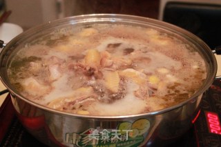 Simple Chicken Soup Hot Pot recipe