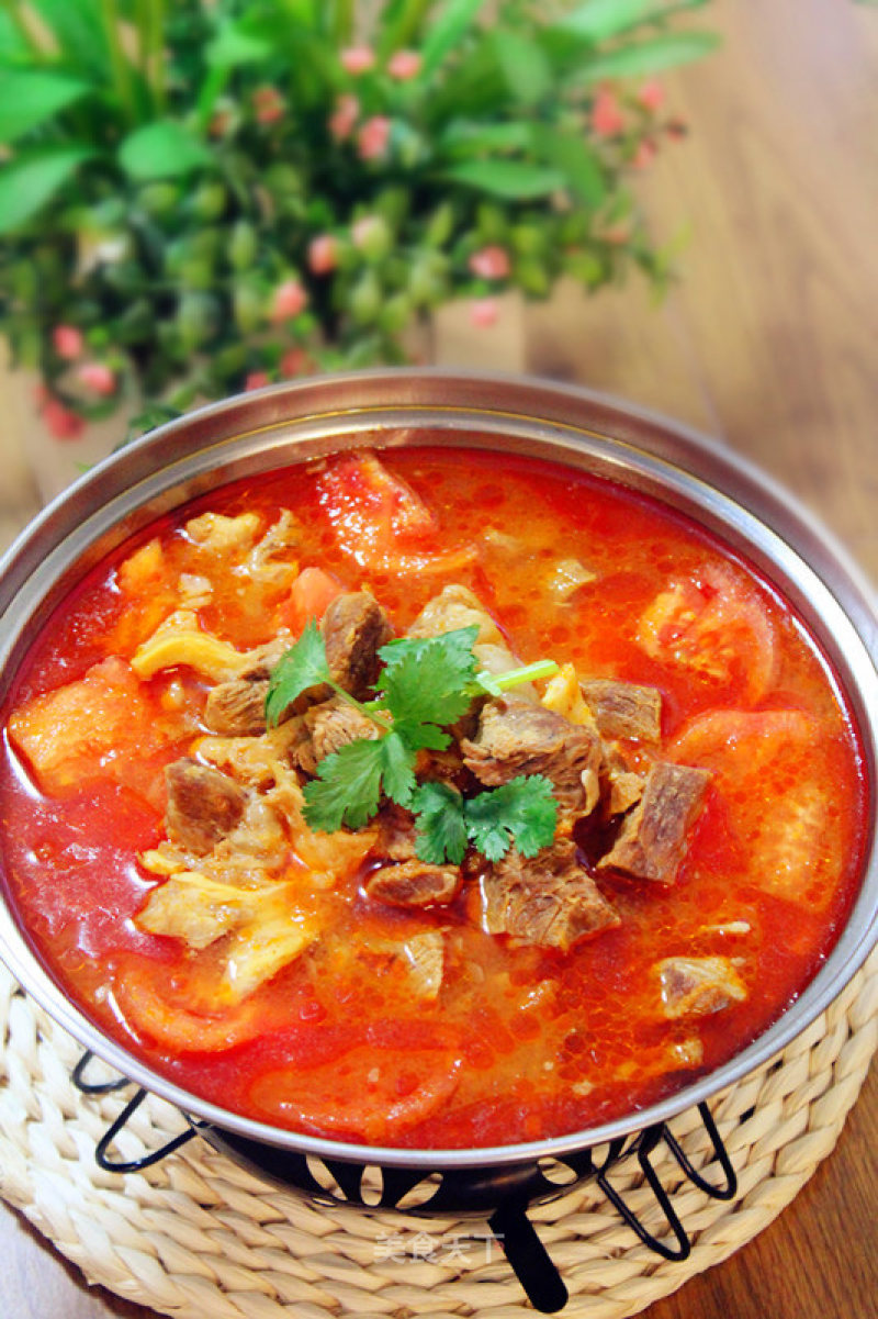 Stewed Beef Brisket with Tomato recipe