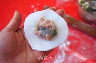 Delicious Shrimp Dumplings recipe