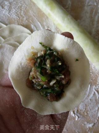 #春食野菜香# Dandelion Pork Dumplings recipe