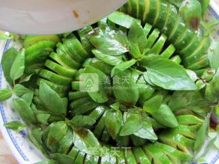 Nepeta Mixed with Cucumber recipe