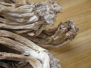 Tea Tree Mushroom Soup recipe