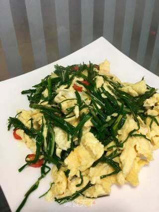 Scrambled Eggs with Wild Onion recipe