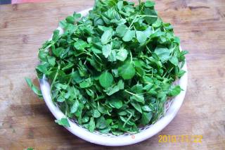 Pea Sprouts recipe