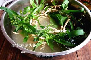Wild Vegetable Chicken Soup Hot Pot recipe