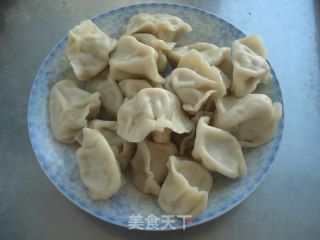 Fried Dumplings recipe