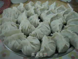 Yuan Bao Dumplings (elementary) recipe