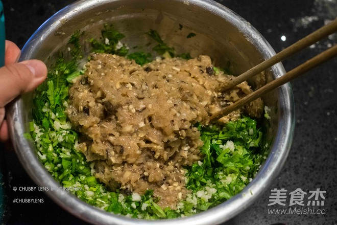 Cilantro, Mushroom and Chicken Breast Dumplings recipe