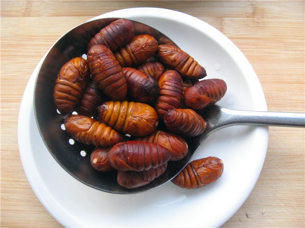 Fried Silkworm Chrysalis recipe