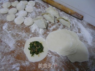 Wild Vegetables and Delicacies-shepherd's Purse Dumplings recipe