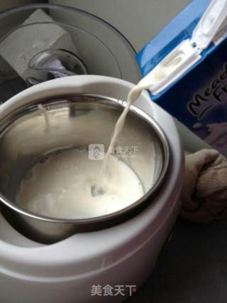 Homemade Yogurt recipe