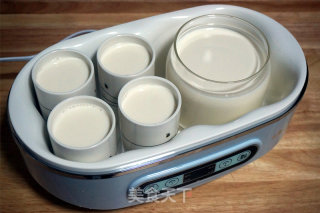 Divided Cups of Yogurt recipe