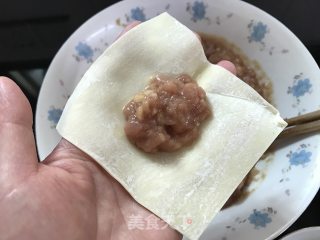 Pan Fried Wonton recipe