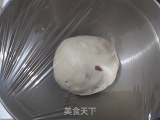 Fresh Milk Cranberry Toast (refrigerated Fermentation Method) recipe