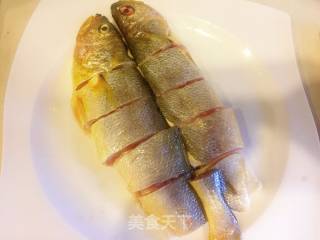 Steamed Yellow Croaker with Tofu recipe