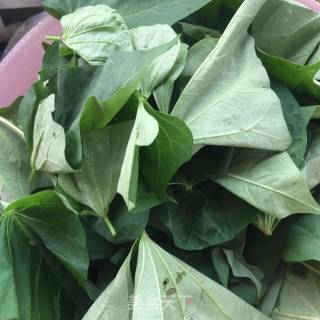 Steamed Sweet Potato Leaves recipe