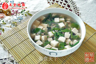 Brasen Tofu Soup recipe