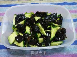 Cucumber Fungus Bento recipe