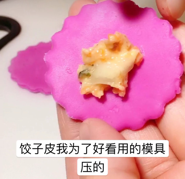 【colorful Dumplings】 recipe