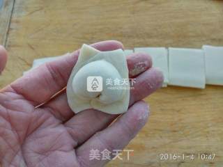 Cat Ear Wonton recipe