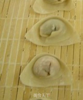 Wonton recipe