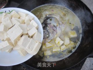 Fathead Fish Tofu Soup recipe