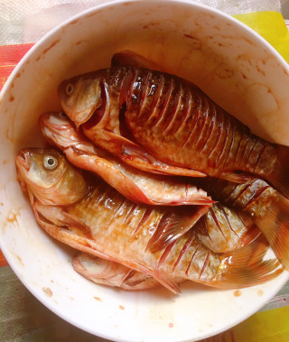 Braised Crucian Carp with Pickled Peppers in Soy Sauce recipe