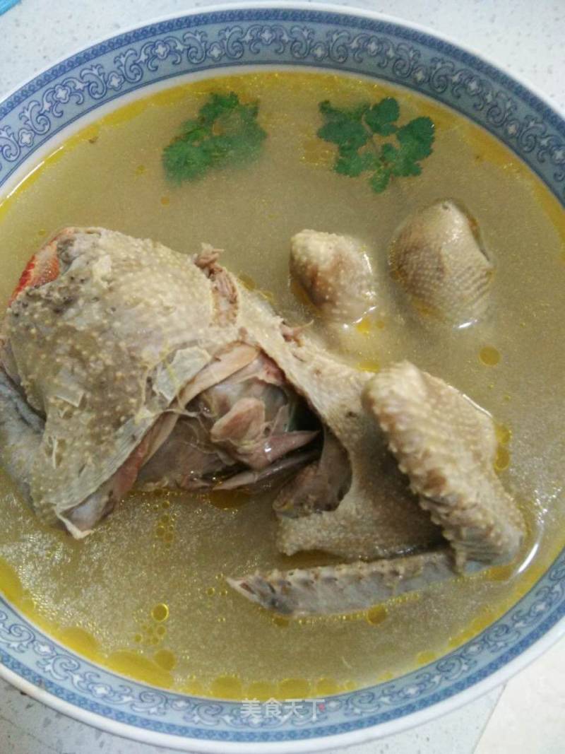 Pigeon Soup recipe